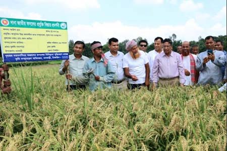 খাদ্য নিরাপত্তায় বিরাট ভূমিকা রাখবে -কৃষিমন্ত্রী