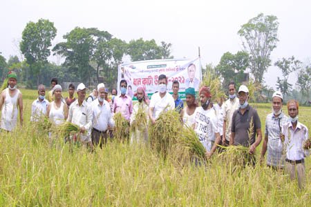 https://thenewse.com/wp-content/uploads/Krishka-League-is-cutting-paddy.jpg