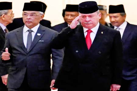 সুলতান ইব্রাহিম মালয়েশিয়ার নতুন রাজা