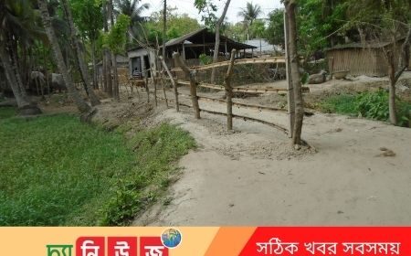ডুমাইন মল্লিকপাড়া রাস্তায় প্রতিবন্ধকতা