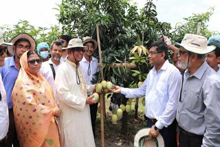 প্রধানমন্ত্রী শেখ হাসিনাই ক্ষমতায় থাকবেন, তার অধীনেই সুষ্ঠু ও নিরপেক্ষ নির্বাচন হবে -কৃষিমন্ত্রী