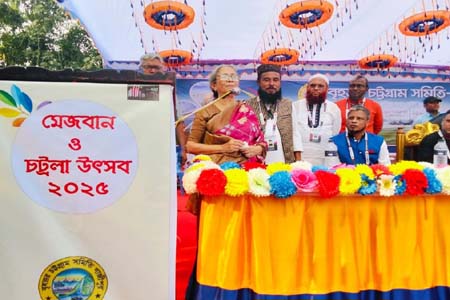 দায়িত্ব পালন করতে এসেছি
