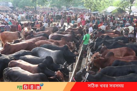 কোরবানির জন্য প্রস্তুত লক্ষাধিক পশু