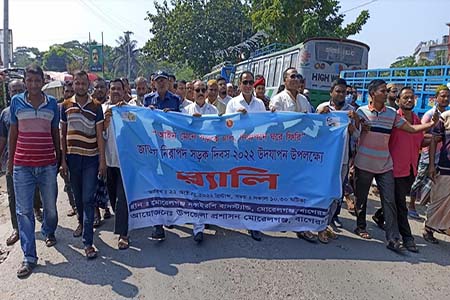 মোরেলগঞ্জে নিরাপদ সড়ক দিবস