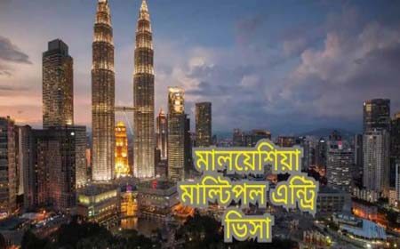 মাল্টিপল এন্ট্রি ভিসা