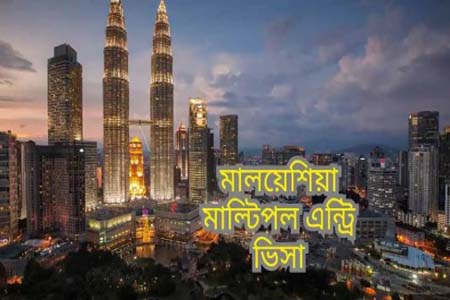 মাল্টিপল এন্ট্রি ভিসা