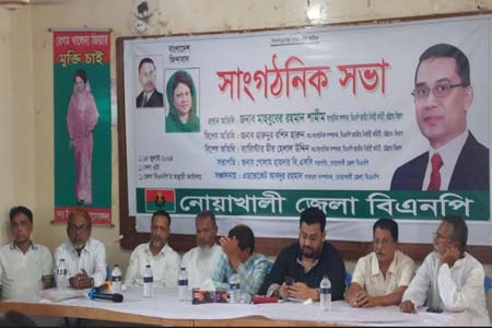 নোয়াখালীতে বিএনপির সাংগঠনিক সভা