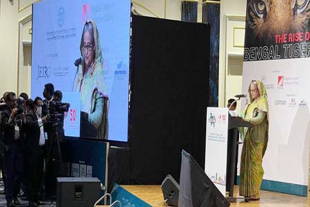 বৃহত্তম ভোক্তা বাজার