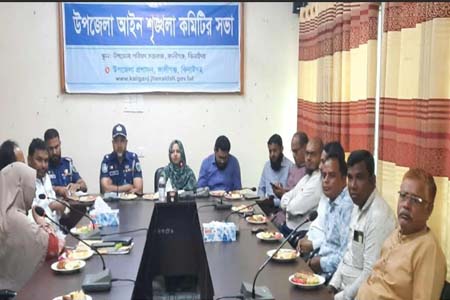আইনশৃঙ্খলা কমিটির সভা অনুষ্টিত