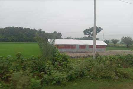 ধান ক্ষেত নষ্ট