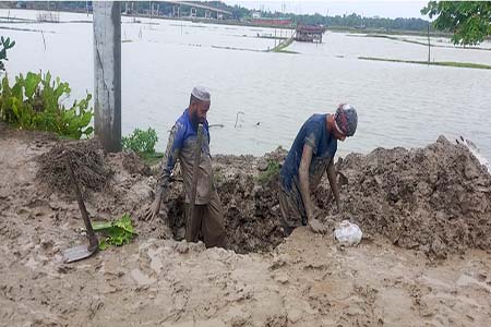 টানা কয়েক দিনের বৃষ্টিতে পাইকগাছায় বেড়েছে জনদুর্ভোগ; কৃষকের মাঝে ফিরেছে স্বস্তি
