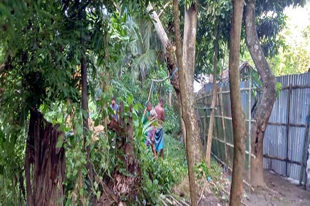 বসত ভিটা জবর দখলের অভিযোগ