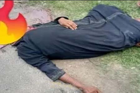 ভ্যান আরোহী নারীর মৃত্যু