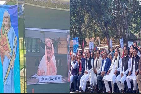 নৌকা মার্কার ভার্চুয়ালি নির্বাচনী