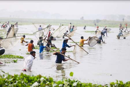 সিলেটে শুরু হলো ঐতিহ্যবাহী পলো বাওয়া উৎসব