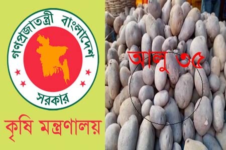 আলুর দাম ৩৫ টাকা