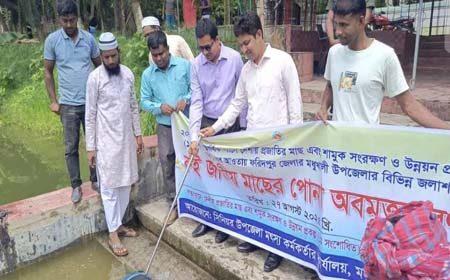 রুই জাতের পোনা