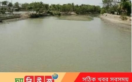 জল মহলে লবণ পানি উঠানোকে কেন্দ্র