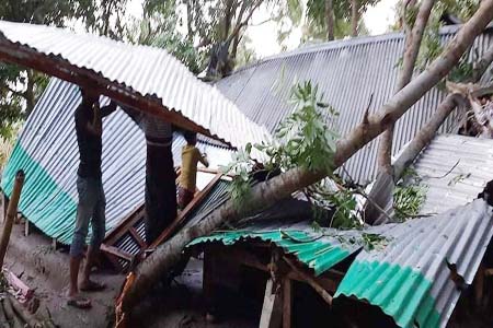 সালথায় কালবৈশাখী ঝ‌ড়