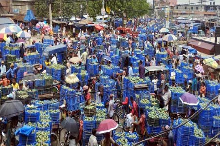 জমে উঠেছে আমের বাজার