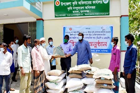 ছাতকে কৃষকদের মাঝে ধান বীজ ও সার বিতরণ