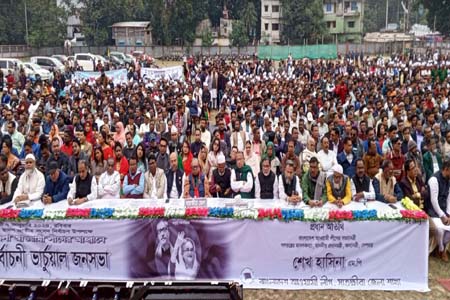ভার্চুয়ালি নৌকায় ভোট চাইলেন প্রধানমন্ত্রী