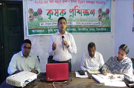 ঝিনাইদহে কন্দাল ফসল উন্নয়নে কৃষক প্রশিক্ষণ