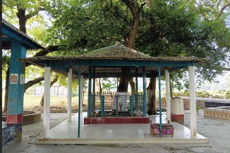 বুড়ো ঠাকুরের মেলা