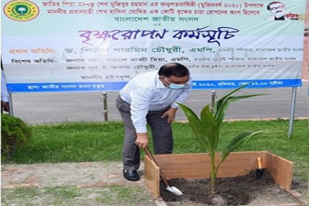 সংসদ চত্বরে চারা রোপণ