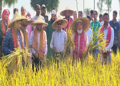ধামইরহাটে কম্বাইন হারভেস্টার ও রিপারের মাধ্যমে ধান কর্তনের উদ্বোধন জেলা প্রশাসকের