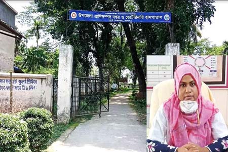 শার্শায় ভেটেরিনারি সেবাকে জরুরীসেবা হিসাবে ঘোষণার দাবি খামারীদের