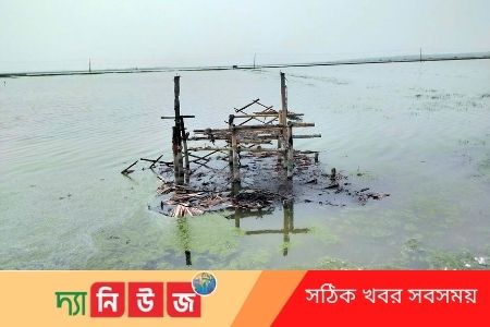 চিংড়ী ঘেরের বাসা পুড়িয়ে ভষ্মিড়ীভূত