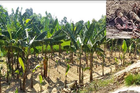 হামলায় বিজিবির ক্যাম্প কমান্ডার