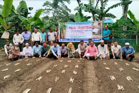 মোবারকগঞ্জ চিনিকলে ২০২৩-২৪ আখ রোপন মৌসুমের উদ্বোধন