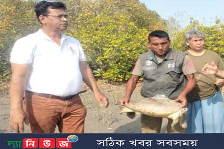 সুন্দরবনে স্যাটেলাইট যুক্ত ১২ 'বাটাগুর বাসকা' কচ্ছপ অবমুক্ত