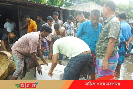 কামারখালীতে কমেছে ইলিশের সরবরাহ-দাম চড়া