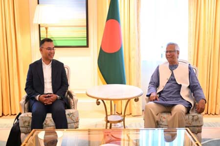 মেটিক্যুলাস নির্বাচন