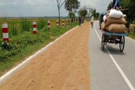 বালিয়াডাঙ্গী ঠাকুরগাঁও মহা সড়ক ধান শুকানোর চাতালে পরিনত হয়েছে