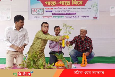 বর্ণাঢ্য আয়োজনে গাছের সঙ্গে গাছের বিয়ে