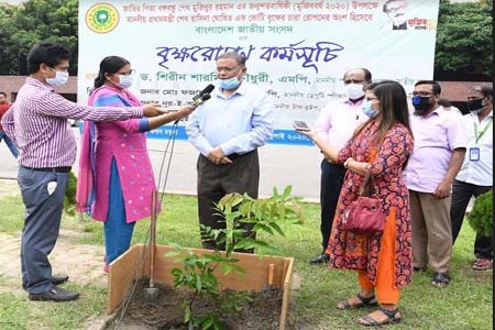 বৃক্ষরোপণ আজ আন্দোলনে রূপ নিয়েছে -তথ্যমন্ত্রী