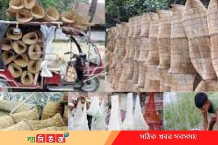 ঘুরে দাড়ানোর চেষ্টা উপকূল বাসীর