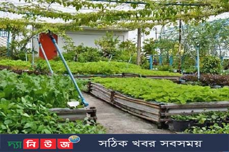 পুষ্টি -বাগান রচনা সংস্কৃতির অঙ্গ