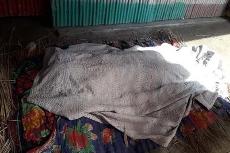 https://thenewse.com/wp-content/uploads/Woman-commits-suicide-in-Thakurgaon.jpg