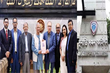 কার্যকর রাষ্ট্রীয় প্রতিষ্ঠান