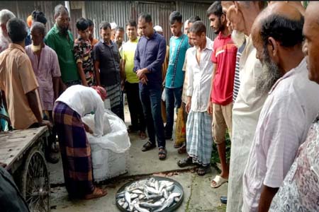 আগৈলঝাড়ায় নিষেধাজ্ঞার মধ্যে ইলিশ বিক্রির অপরাধে ভ্রাম্যমান আদালতে মাছ জব্দ, জরিমানা