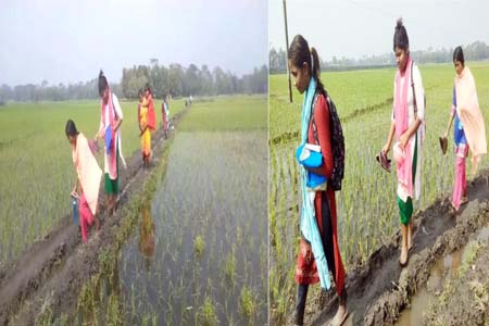 আগৈলঝাড়ায় রাস্তা না থাকায় শিক্ষার্থীদের স্কুলে যেতে হয় আলাদা পোশাক নিয়ে