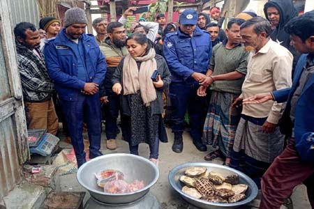 আগৈলঝাড়ায় কচ্ছপ বিক্রির অপরাধে ভ্রাম্যমাণ আদালতে ব্যবসায়ীকে কারাদন্ড প্রদান, কচ্ছপ অবমুক্ত