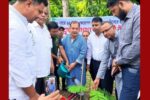 গাছের নিয়মিত পরিচর্যা ও সংরক্ষণ নিশ্চিত করতে হবে – জহির উদ্দিন স্বপন এমপি