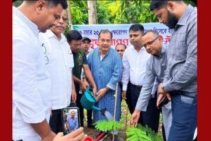গাছের নিয়মিত পরিচর্যা ও সংরক্ষণ নিশ্চিত করতে হবে – জহির উদ্দিন স্বপন এমপি