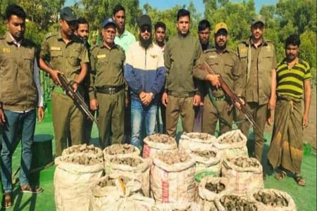 বনবিভাগের অভিযানে ৮৬০ কেজি শামুক জব্দ